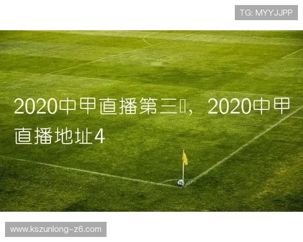 想知道开云体育网页版入口最新入口地址，详细介绍多种登录方式保障你的使用体验