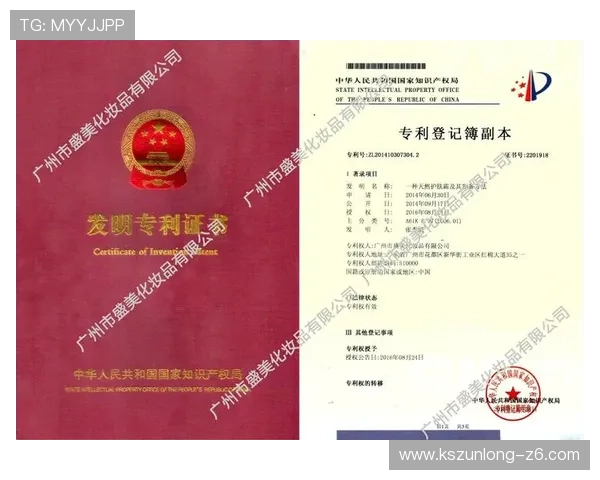 尊龙凯时官方网站入口：官方入口常见问题及应急登录指南详解