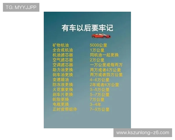 z6尊龙豪华座驾的维护保养指南，延长车辆使用寿命的实用技巧