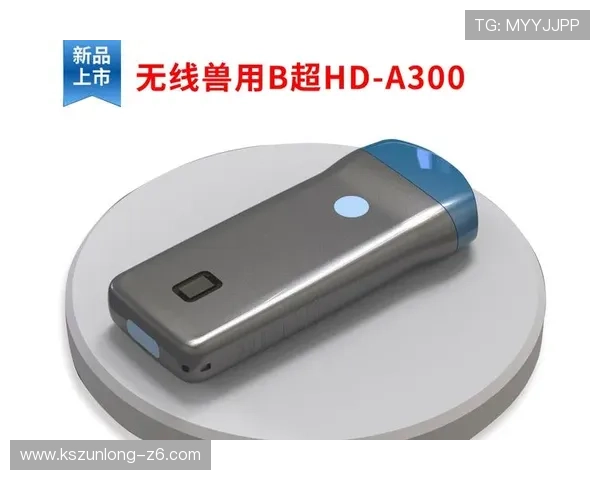 凯时官网注册步骤详细介绍助你快速完成账号创建与登录