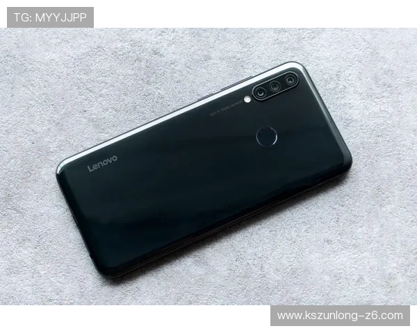 z6尊龙旗舰厅官网入口安全登录流程与账号保护措施详解